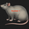 MaxBord's Avatar